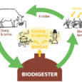 Ứng dụng của khí Biogas