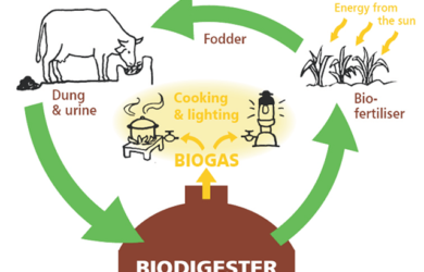 Ứng dụng của khí Biogas
