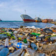 Ô nhiễm môi trường biển
